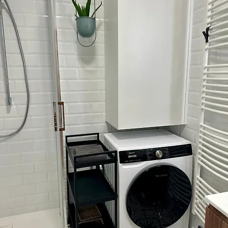 Apartament The Art Nest *