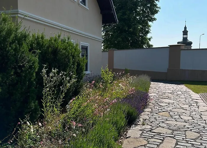 The Art Nest * 쿤타호라