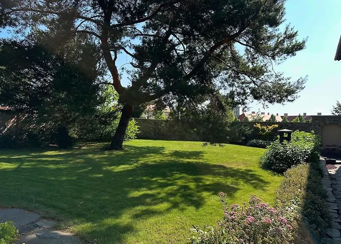 The Art Nest 쿤타호라